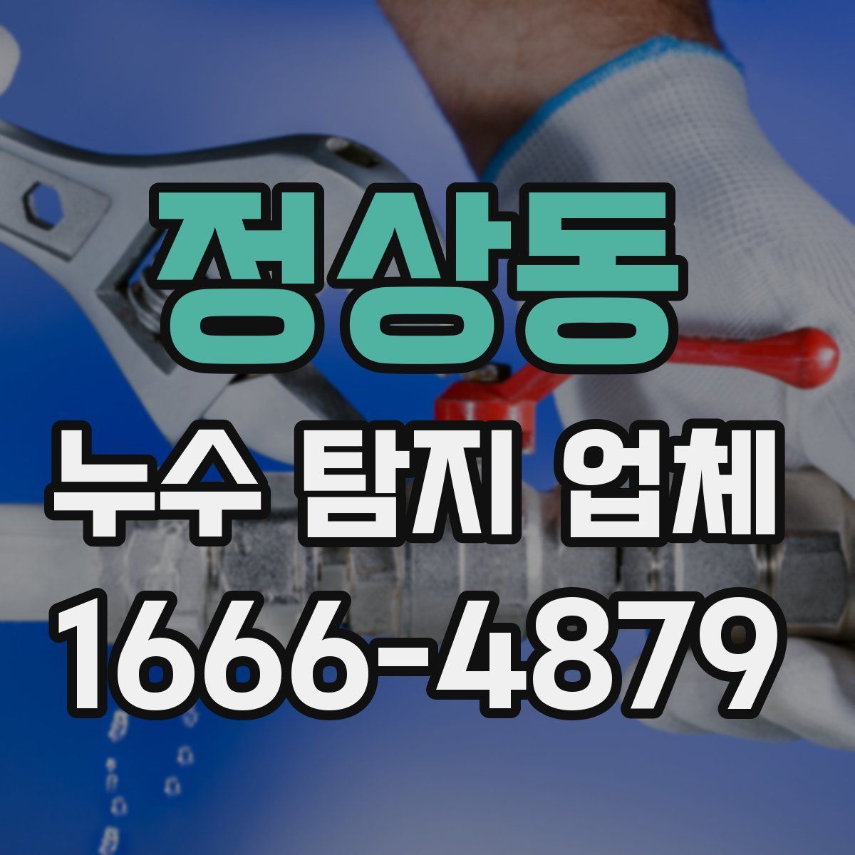 정상동 누수 탐지 업체