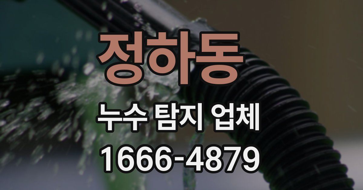정하동 누수 탐지 업체