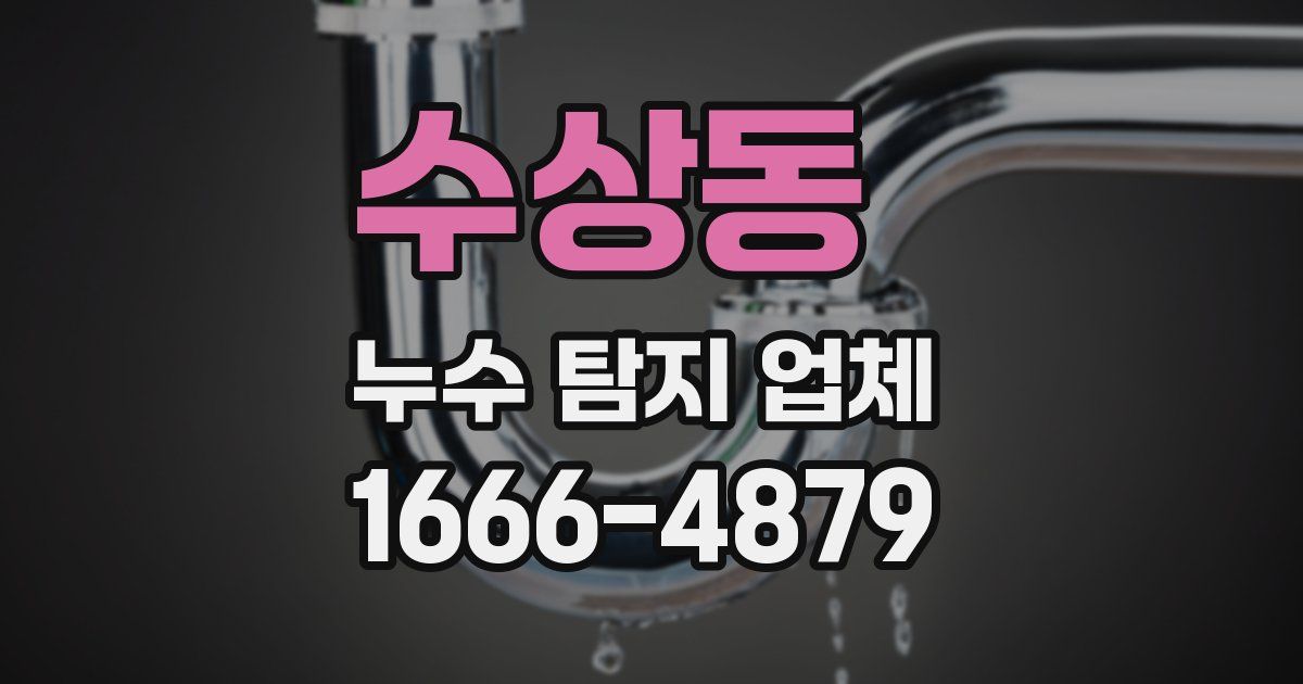 수상동 누수 탐지 업체