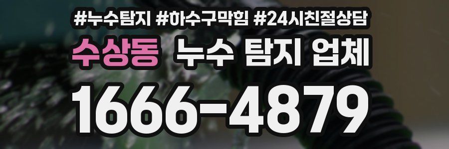 수상동 누수 탐지 업체