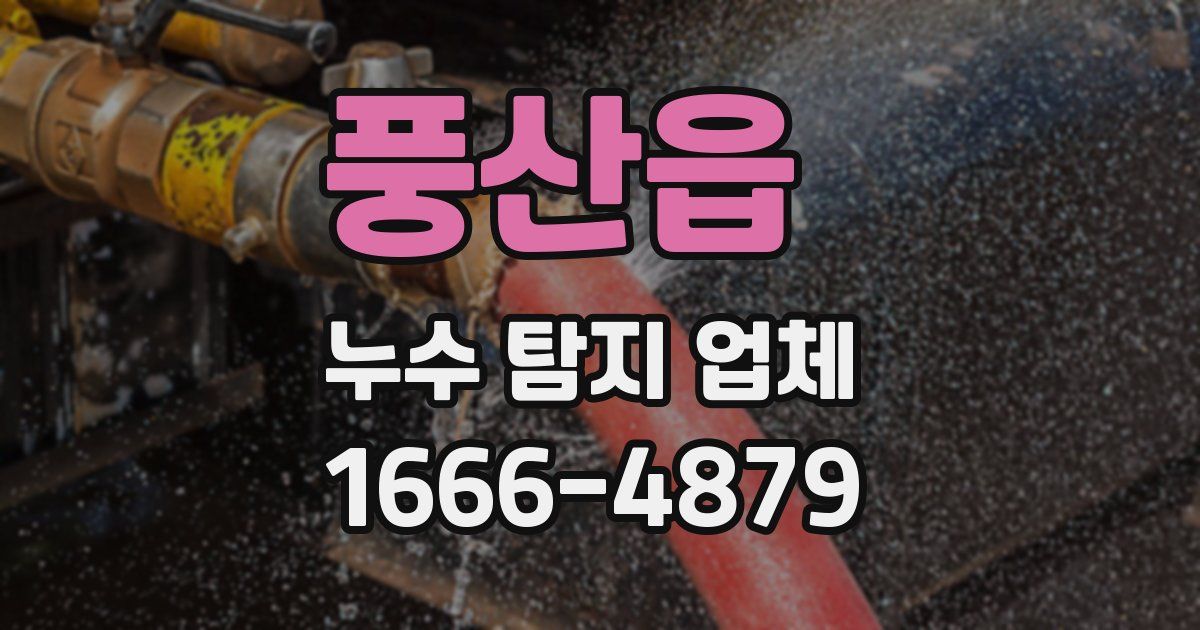 풍산읍 누수 탐지 업체