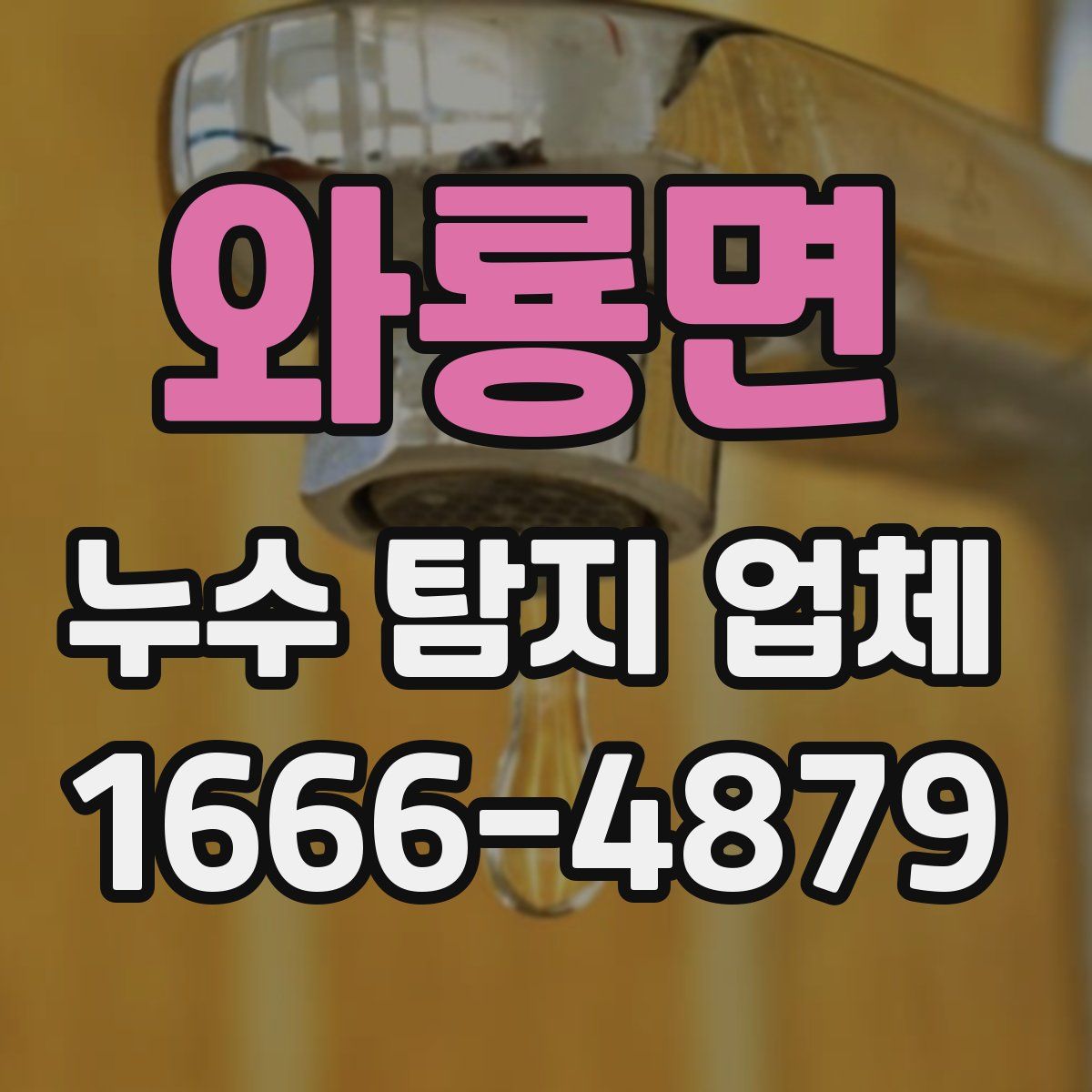 와룡면 누수 탐지 업체