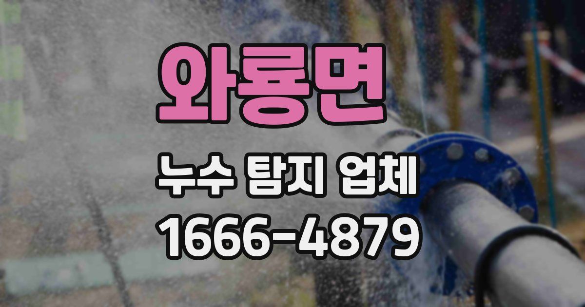 와룡면 누수 탐지 업체