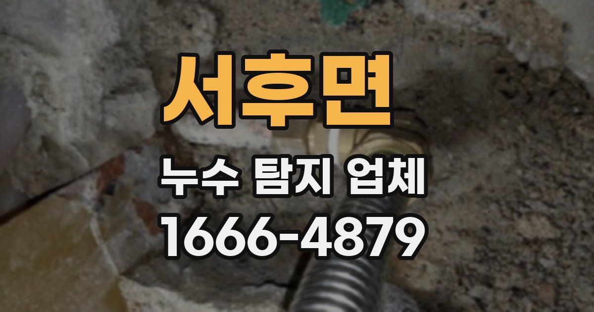 서후면 누수 탐지 업체