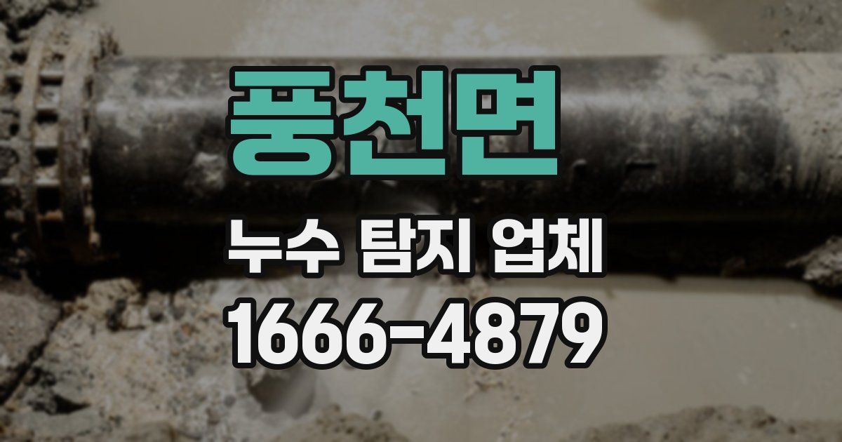 풍천면 누수 탐지 업체