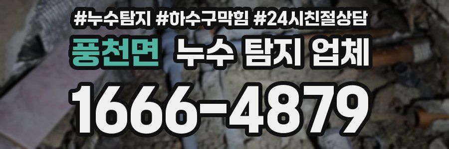 풍천면 누수 탐지 업체
