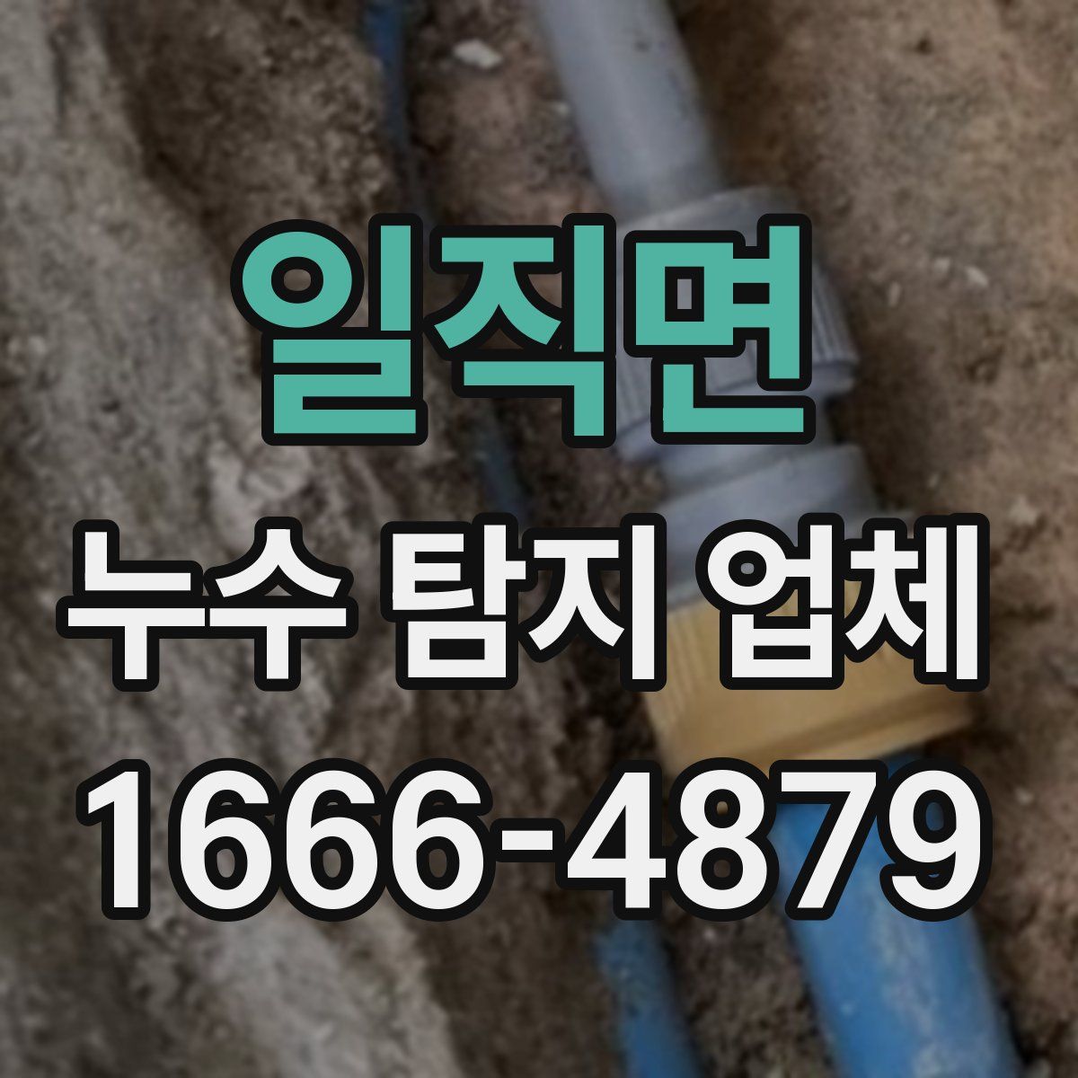 일직면 누수 탐지 업체