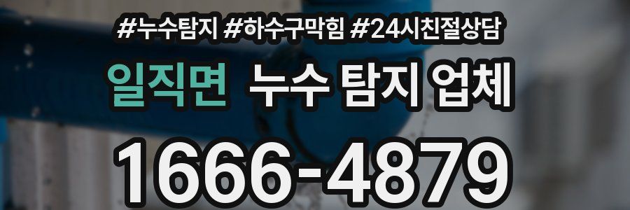 일직면 누수 탐지 업체