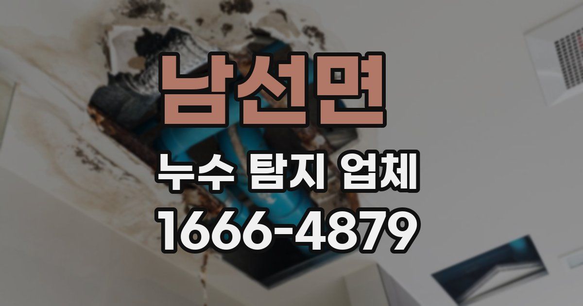 남선면 누수 탐지 업체