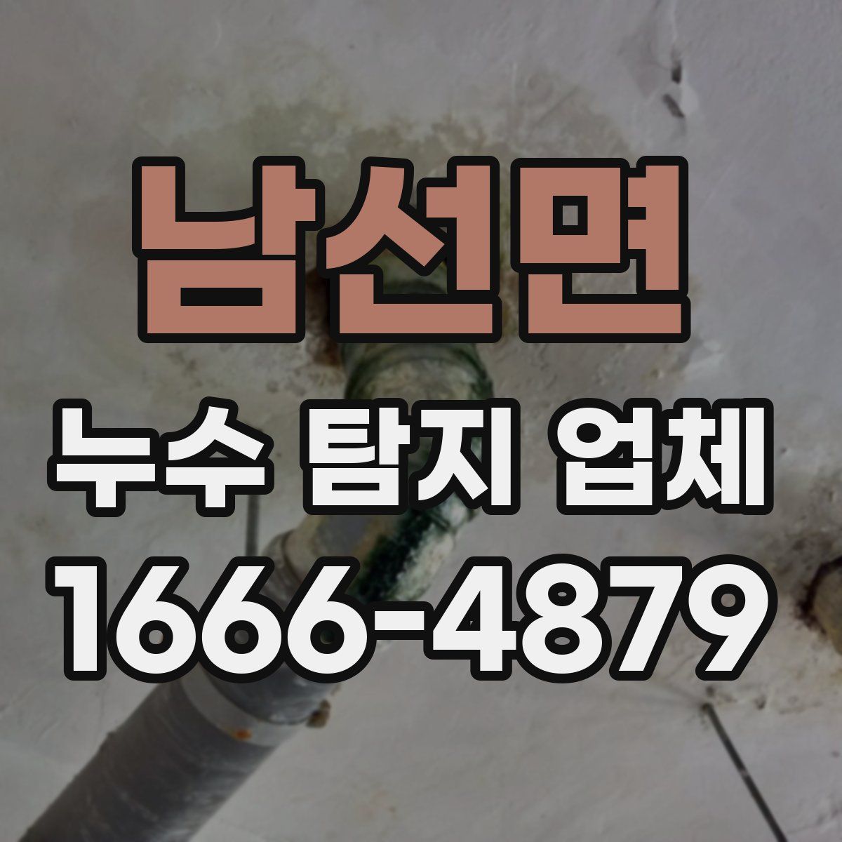 남선면 누수 탐지 업체