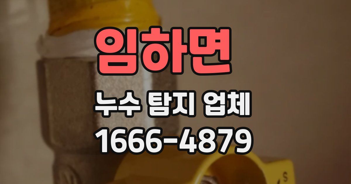 임하면 누수 탐지 업체