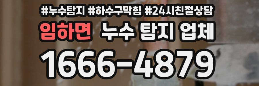 임하면 누수 탐지 업체