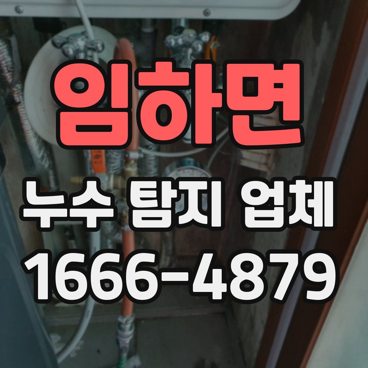 임하면 누수 탐지 업체