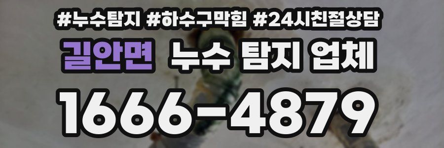길안면 누수 탐지 업체