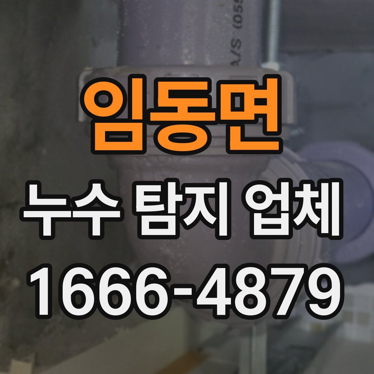 임동면 누수 탐지 업체