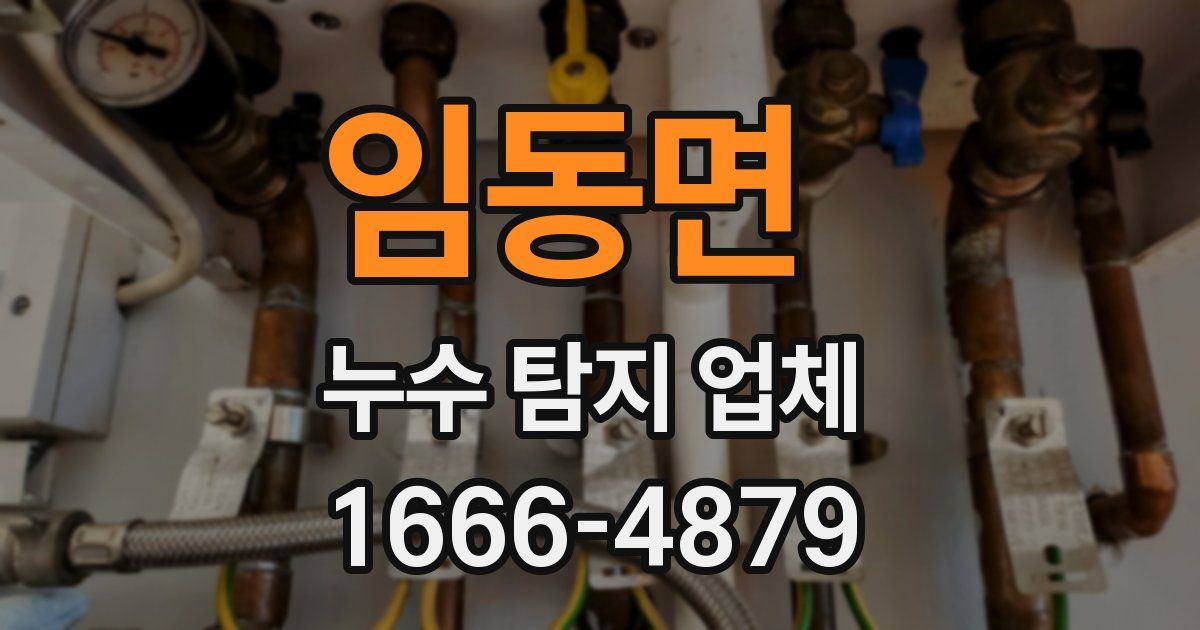 임동면 누수 탐지 업체