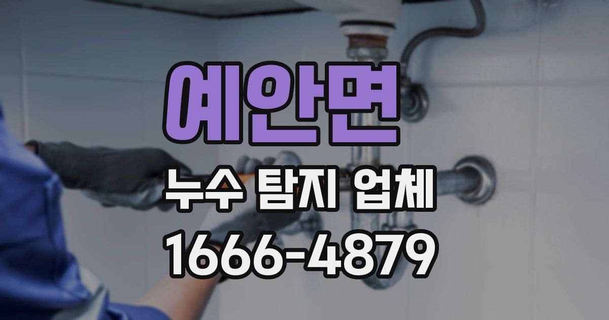 예안면 누수 탐지 업체