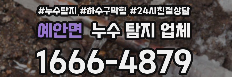 예안면 누수 탐지 업체