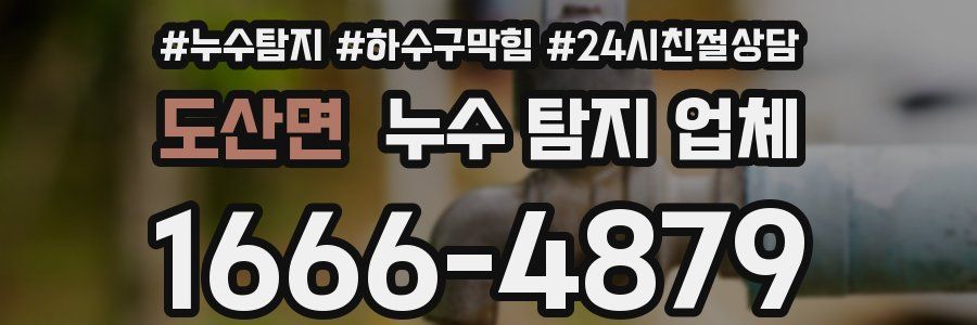 도산면 누수 탐지 업체