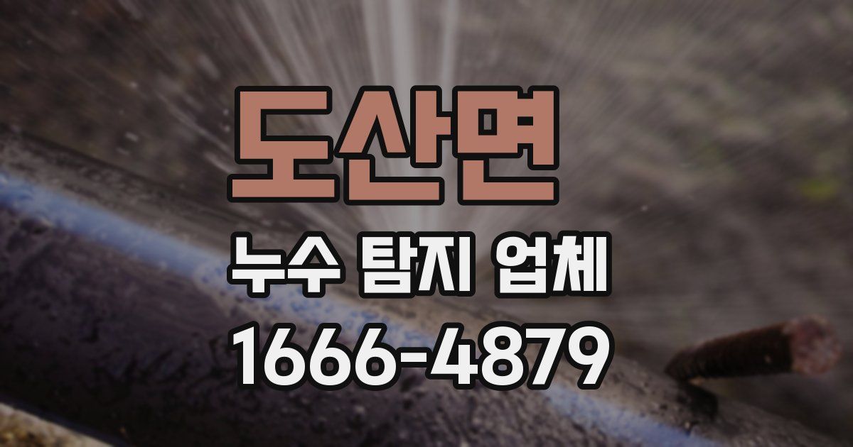 도산면 누수 탐지 업체