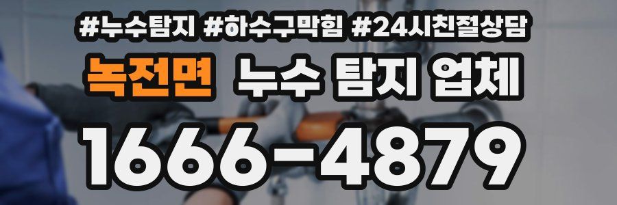 녹전면 누수 탐지 업체