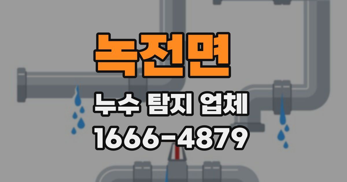 녹전면 누수 탐지 업체