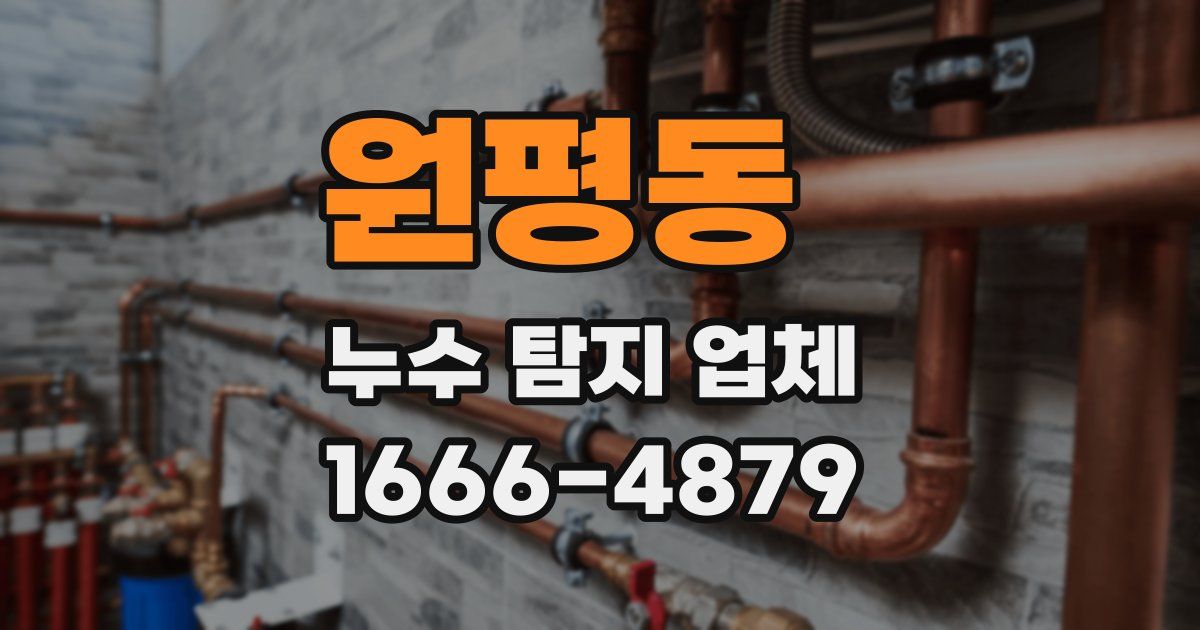 원평동 누수 탐지 업체