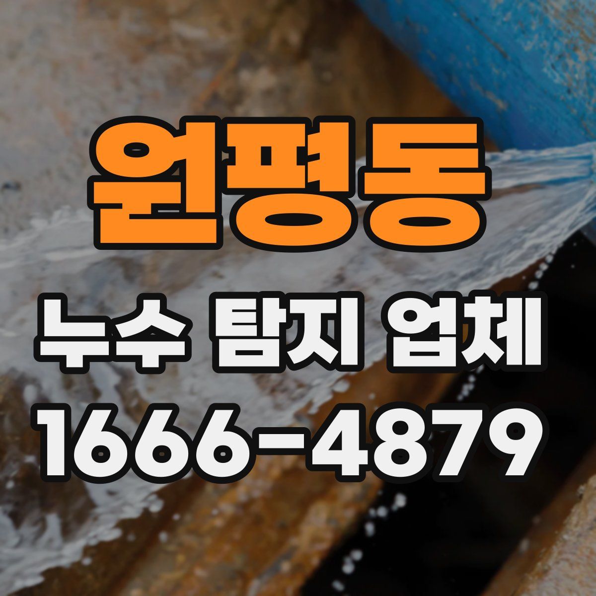 원평동 누수 탐지 업체