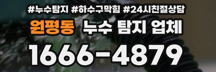 원평동 누수 탐지 업체