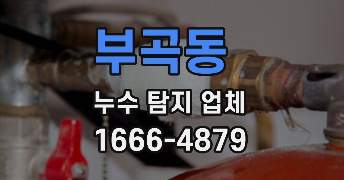 부곡동 누수 탐지 업체