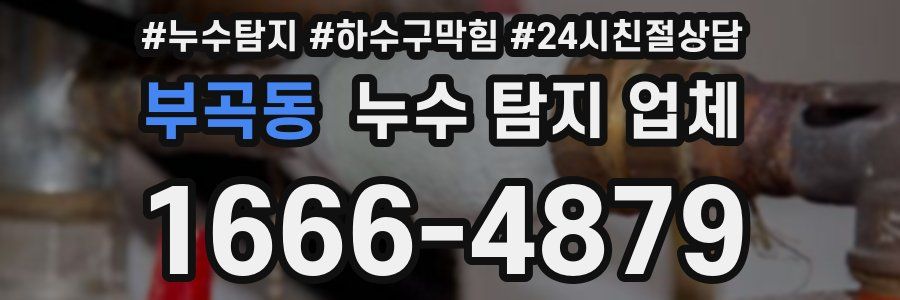 부곡동 누수 탐지 업체