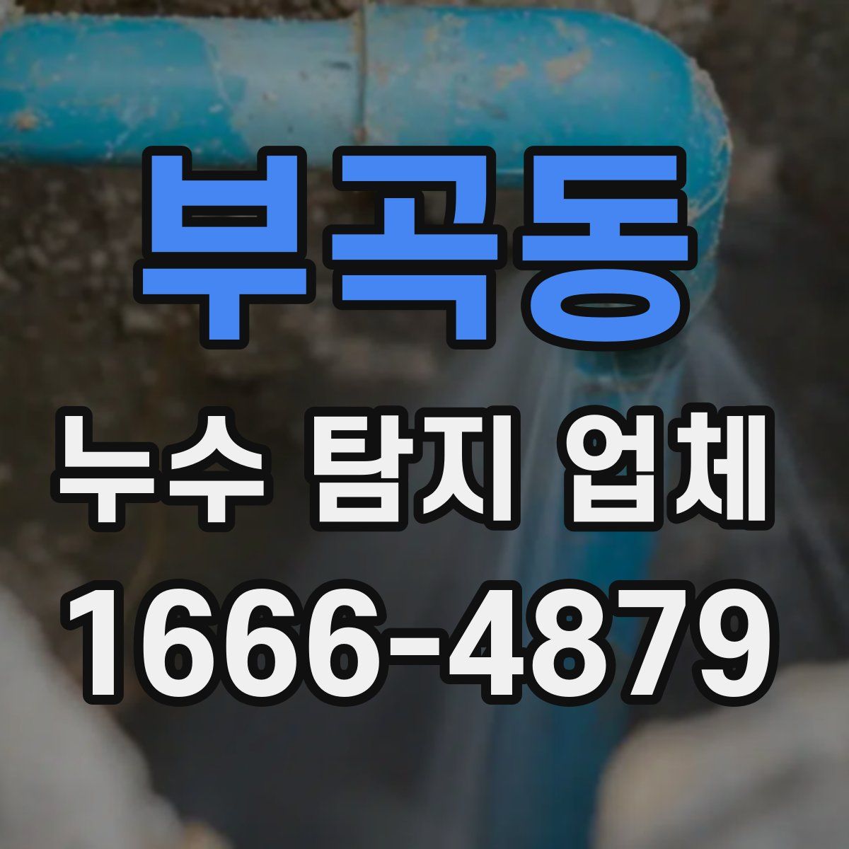 부곡동 누수 탐지 업체