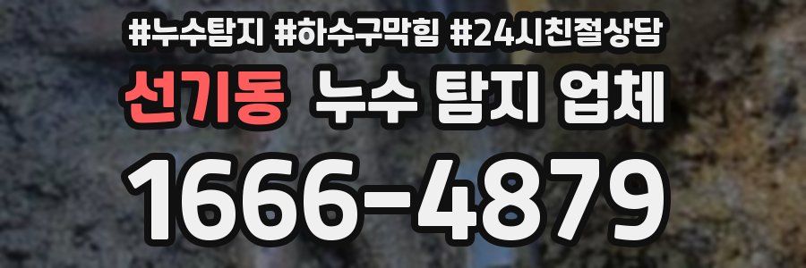 선기동 누수 탐지 업체