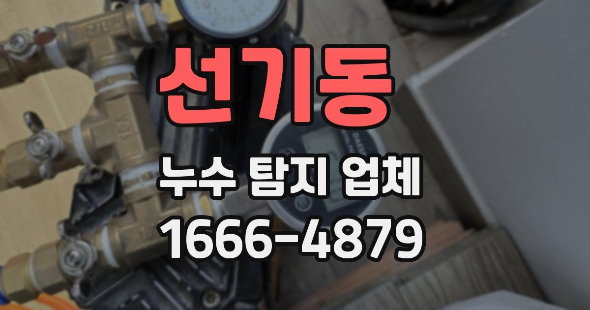 선기동 누수 탐지 업체
