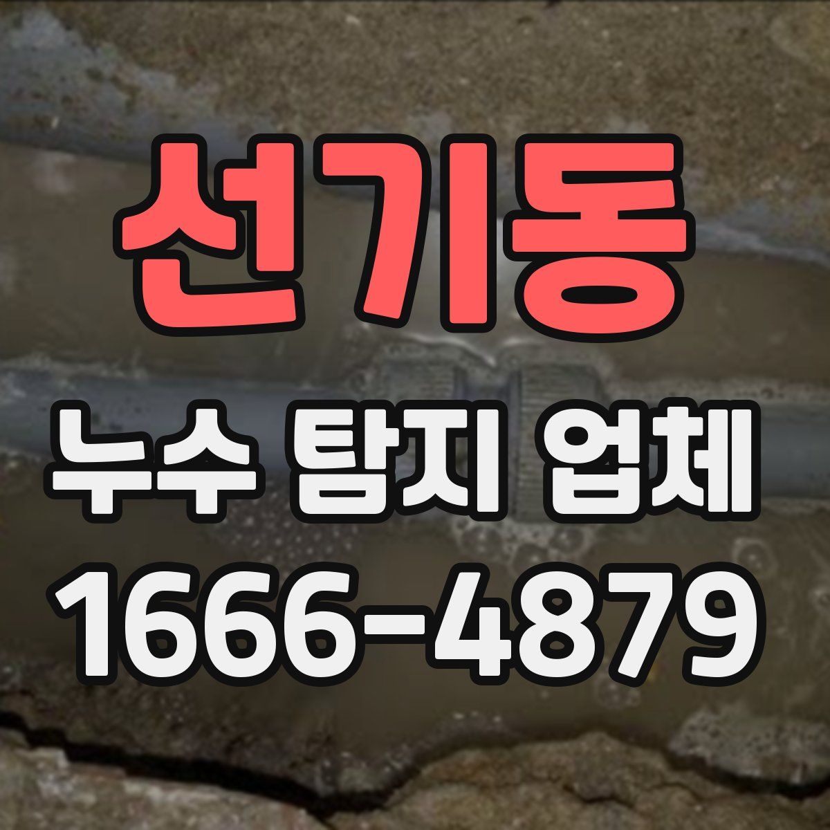 선기동 누수 탐지 업체