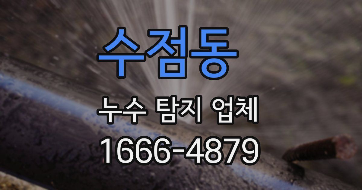 수점동 누수 탐지 업체