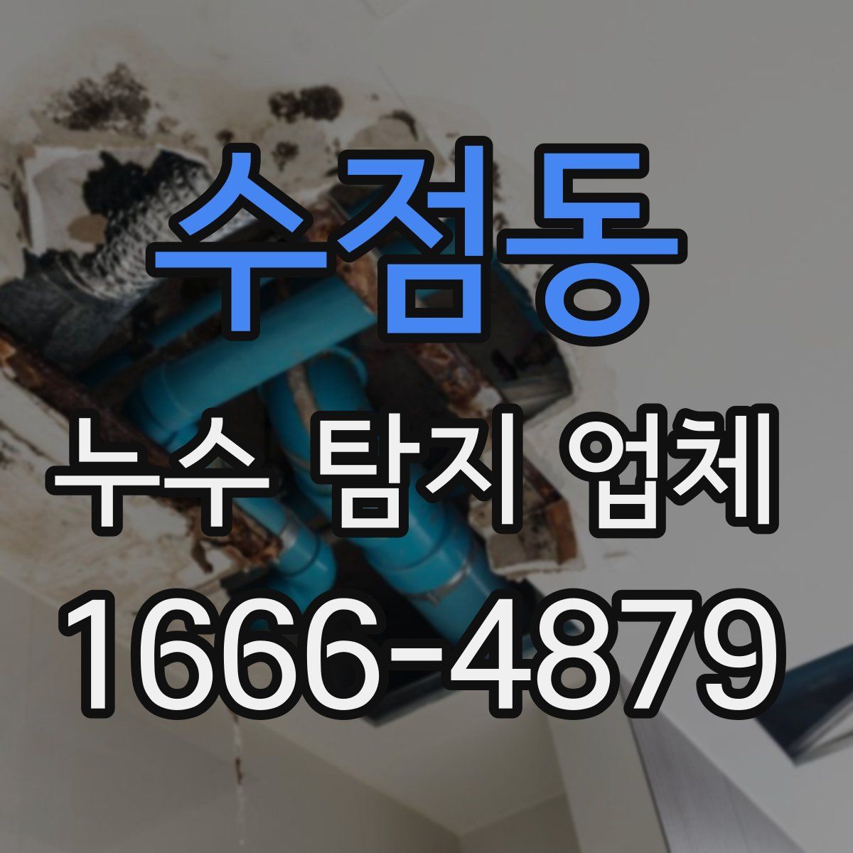 수점동 누수 탐지 업체