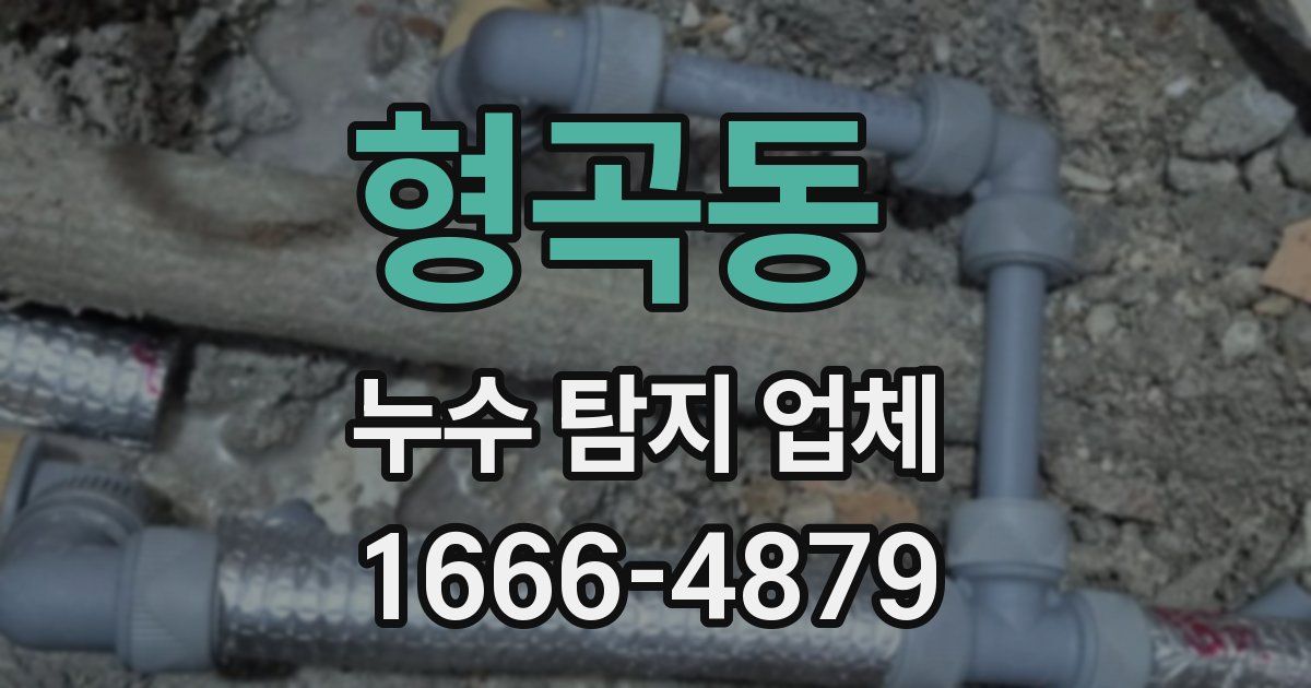 형곡동 누수 탐지 업체