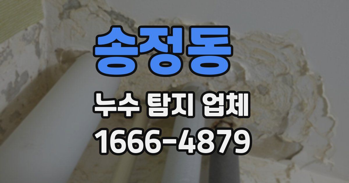 송정동 누수 탐지 업체