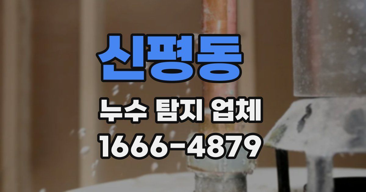 신평동 누수 탐지 업체