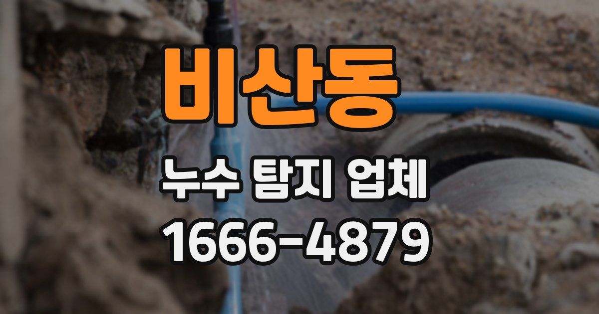 비산동 누수 탐지 업체