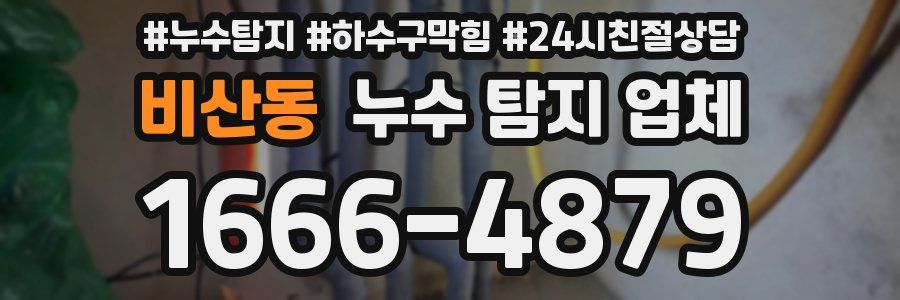 비산동 누수 탐지 업체