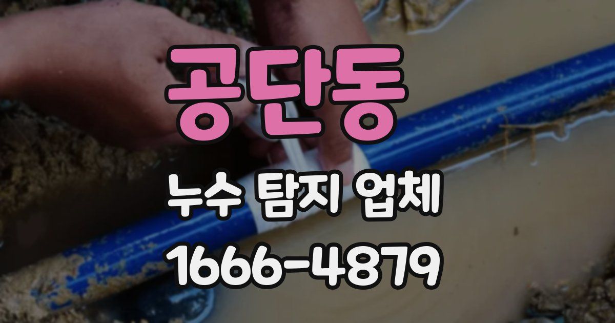 공단동 누수 탐지 업체