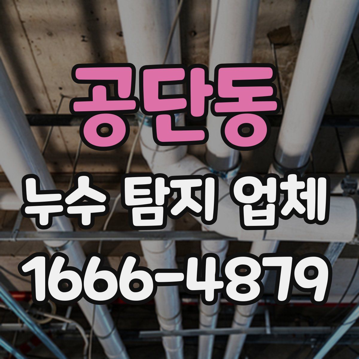 공단동 누수 탐지 업체