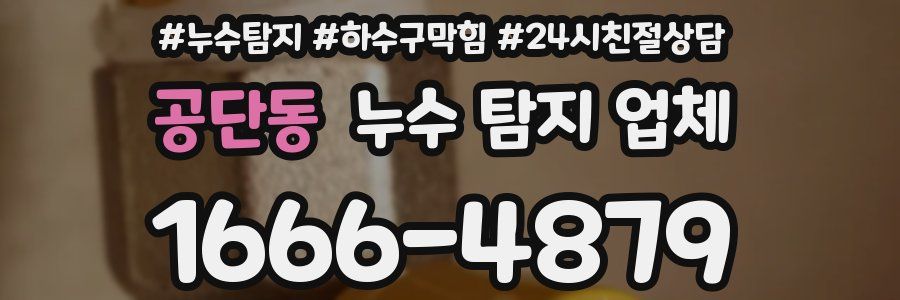 공단동 누수 탐지 업체