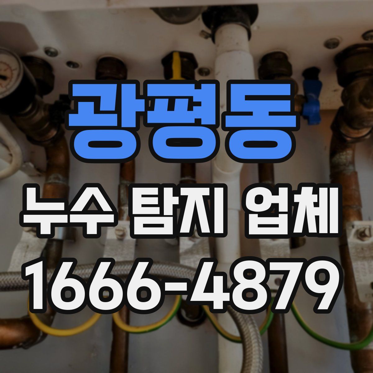 광평동 누수 탐지 업체