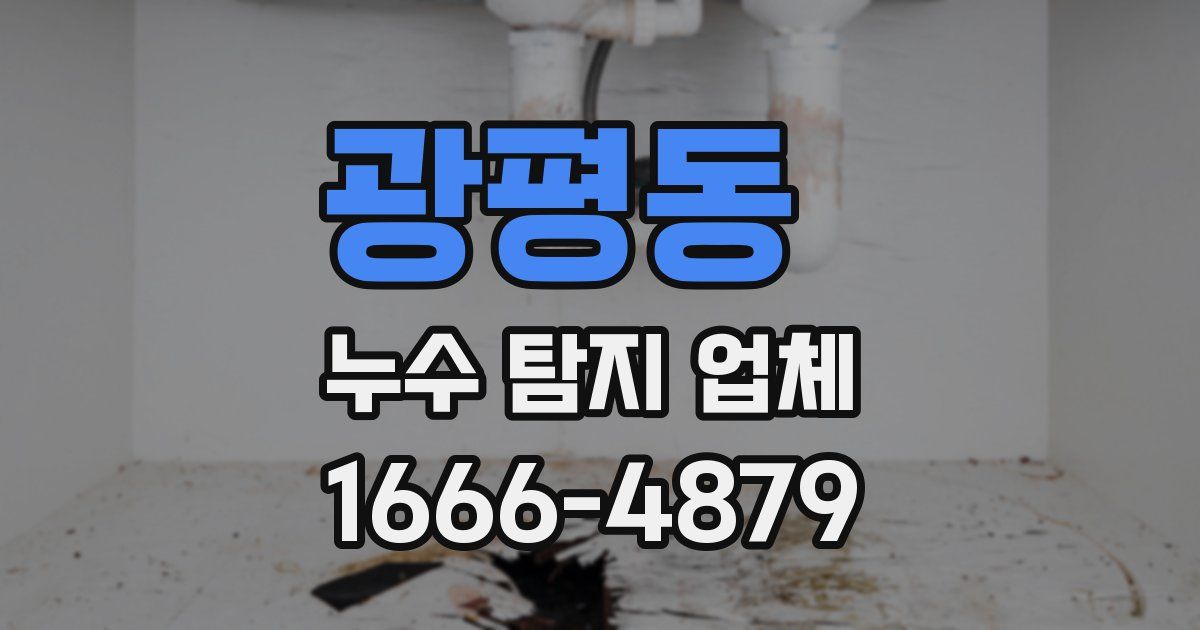 광평동 누수 탐지 업체