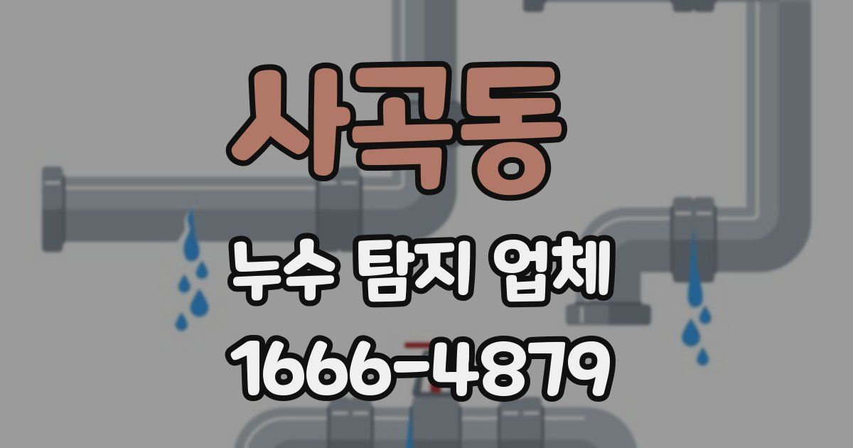 사곡동 누수 탐지 업체