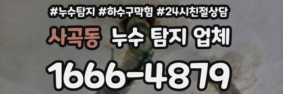 사곡동 누수 탐지 업체