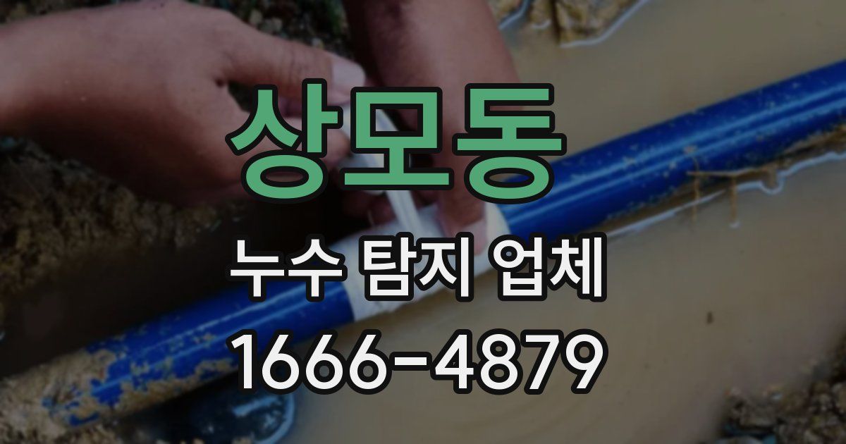 상모동 누수 탐지 업체